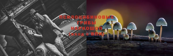 гашик Армянск
