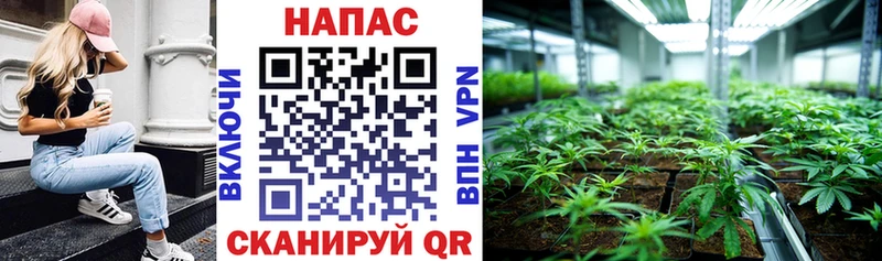Бошки Шишки план  Усть-Катав 